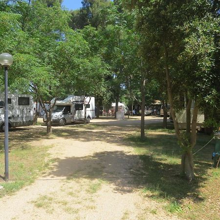 Camping Mia Bungalow & Mobile Home Biograd Na Moru Exterior foto